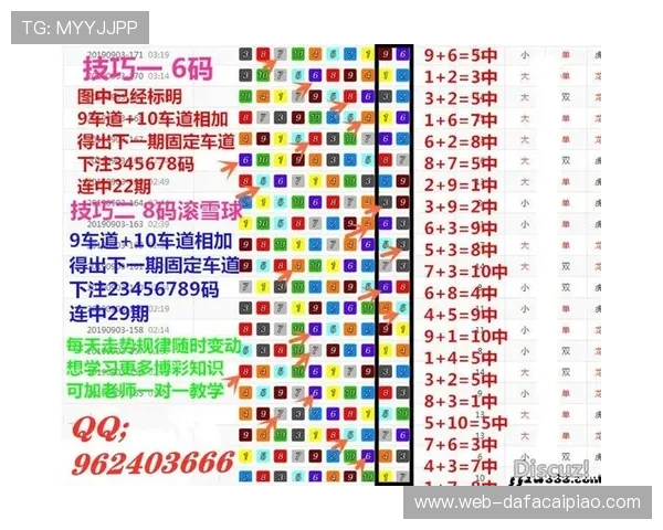 官方飞艇开奖结果实时发布与走势分析全解析