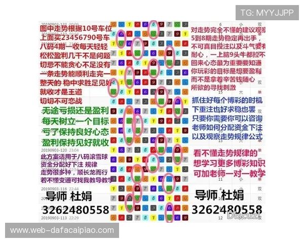 掌握幸运飞艇精准计划技巧与规则解析轻松提升投注胜率实战方法 掌握幸运飞艇精准计划技巧与规则解析轻松提升投注胜率实战方法