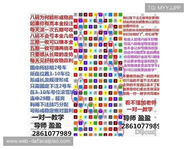 极速飞艇投注技巧全面解析与实战策略深度指南